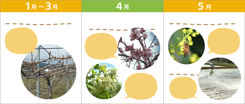 1~5月