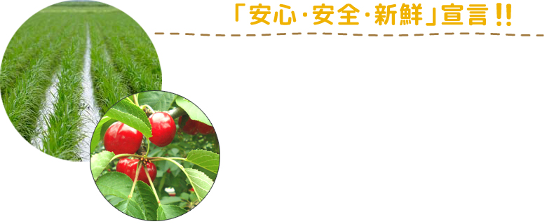 安心・安全・新鮮宣言！