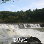 須賀川の花ぼたん